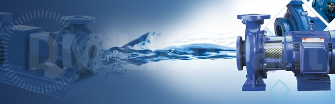 Apex Pumps