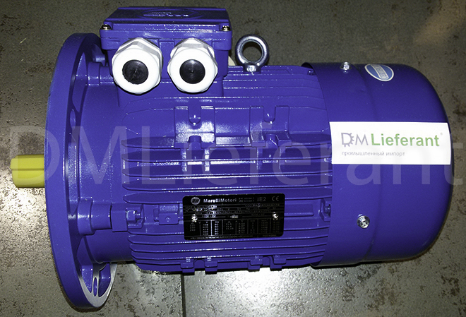 Асинхронный двигатель MarelliMotori Mot. 3-MAQ 100 LB4