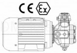 Двигатель-насос Berarma серии GMPX